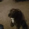 Robert Durham - @robert.durham40 - TikTok