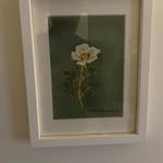 Bertil Egerhag - @egerhagbertil - Instagram