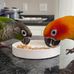 Bert &amp; Ernie - Facebook