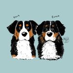 Bert & Ernie the Berners - @bert_and_ernie_the_berners - Instagram