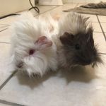 Bert And Ernie - @bert.ernie_ - Instagram