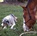 Bert Evans - Facebook