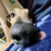 Bert Evans - @bert_mcsquirt - TikTok