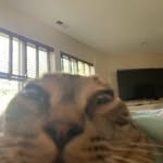 Bert Fisher - @bertfisher2727272727 - Instagram