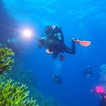 @bertfish1 - Instagram