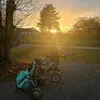 . - @bertfish4 - TikTok