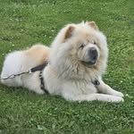 Bertie Fisher - @bertfish322 - Instagram