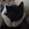 Fishbert - @fishbert16 - TikTok