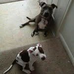 Bert Fitzgerald - @fitzgeraldbert - Instagram