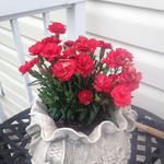 Bert Fletcher - @bert.fletcher.716 - Instagram