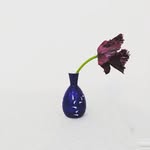 Alberto Pasarín | Florist | Event Flowers | Workshops - @floral.berto - Instagram