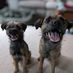 Bertie & Flora - @bertie.and.flora - Instagram