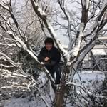 Bert Flores - @bertflores4824 - Instagram