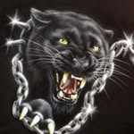 Bert flores - @bertflores4209 - Instagram