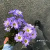 Floyd Bert - @floyd.bert - TikTok