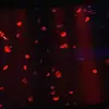 Flynn Bertooo - @flynn.bertooo - TikTok