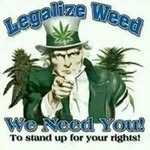 Robert Flynn - @robertflynn7r.f.4gmail.com_ - Instagram