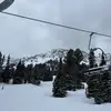 🌲forrestb💨 - @forrestbert100 - TikTok
