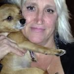 Bert Fox - @bert2earth - Instagram
