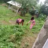 @bertfrancisco - @bertfrancisco73 - TikTok