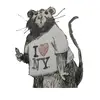 Bert_the_French - @bert_the_french - TikTok