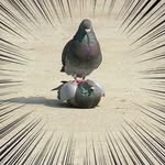 bert - @bert.geers - Instagram