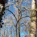Bert Geers - Facebook