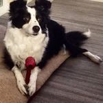 Bert Gibson - @gibson.bert - Instagram