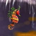 Bert Godfrey - @bertgodfrey - Instagram