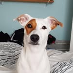 Robert Godfrey - @robert.godfrey.758399 - Instagram