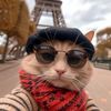 🥷🏻" - @bertgorgon - TikTok