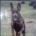 Bert Gould - Facebook
