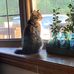 Patti Guthrie Berton - Facebook