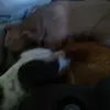 robertgutierrez577 - @robertgutierrez577 - TikTok