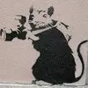 berthansen848 - @berthansen848 - TikTok