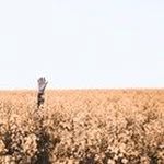 BertHansenJan - @berthansenjan - Instagram