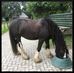 Bert Harms - Facebook