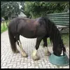 Bert Harms - @user978078795243 - TikTok