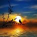 Albert Harold - Facebook
