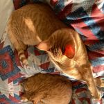Bert Hawkins - @berthawkins79 - Instagram