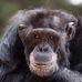 Bert Huls - Facebook