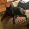 Bert Jackson - @bertbert6969 - TikTok