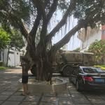 Bert James - @bert.james.3720 - Instagram