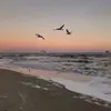 Albert Jiang - @albert.jiang8 - TikTok