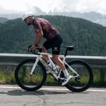 Bert Lambrechts - @lambrechts_bert - Instagram