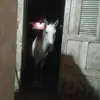 claubert - @claubertmariano5 - TikTok