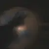 Robertnixon - @bananaguy69690 - TikTok