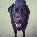 Bert Roling - @bertroling - Instagram
