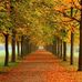 Bert Samuel - Facebook