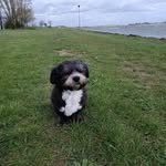 Bert Sanders - @berts1949 - Instagram